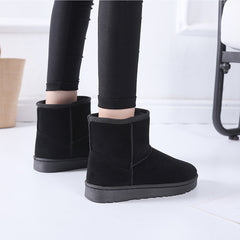Shelby Boots