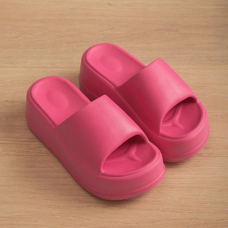 Vienna Slides