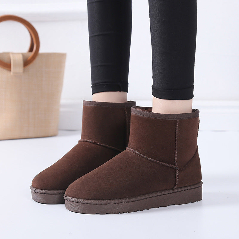 Shelby Boots