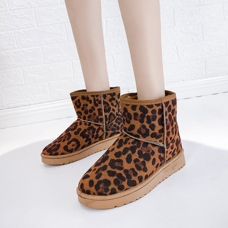Shelby Boots