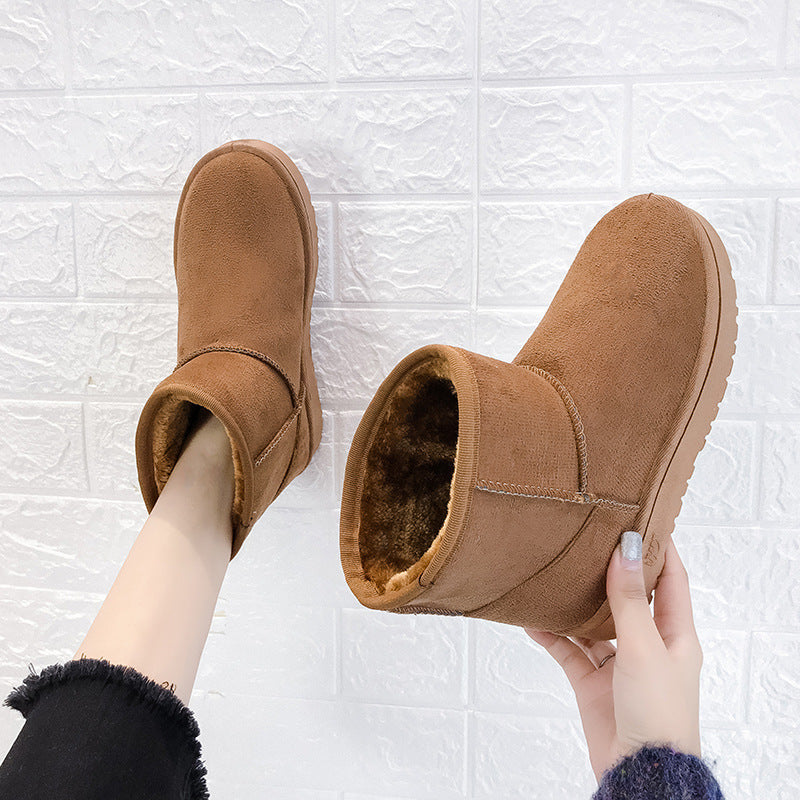 Shelby Boots